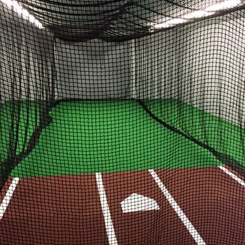 baseball turf01